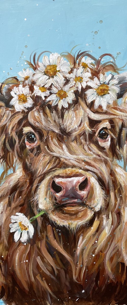 Daisies by Louise Brown