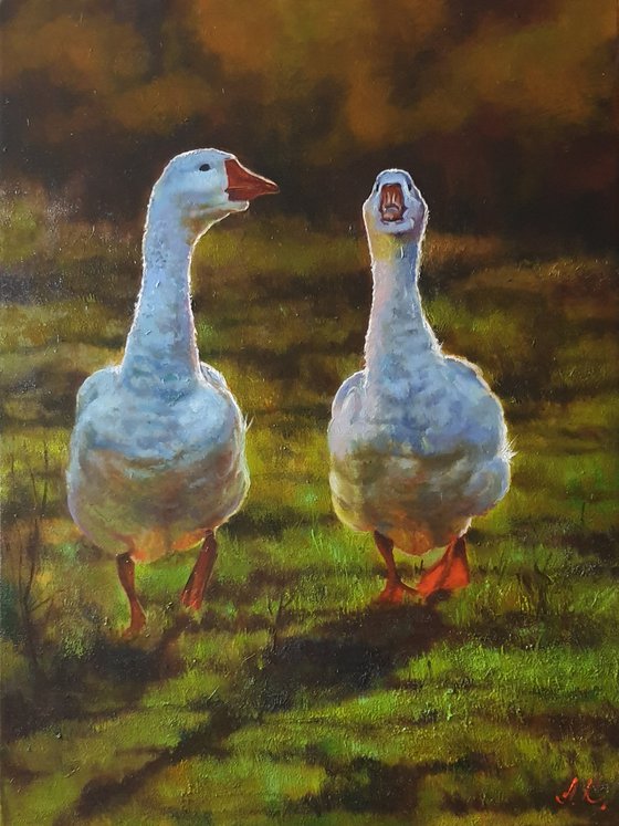 "Two cheerful geese"