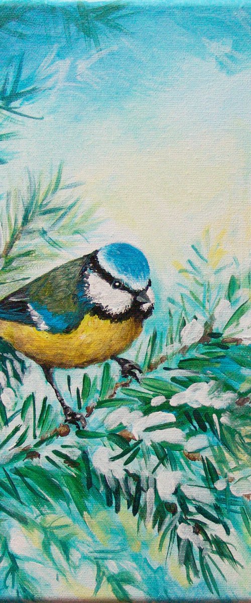 Winter tit by Jolanta Czarnecka