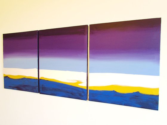 Purple flats 3 panel canvas