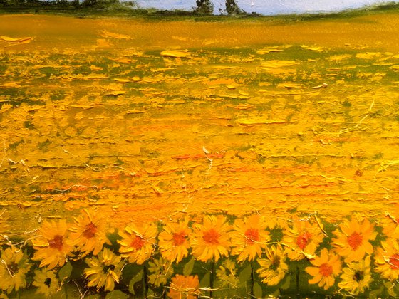 Ukraine Painting Landscape Original Art Sunflower Field Oil Artwork Ukrainian Landscape Home Wall Art 20 by 14" by Halyna Kirichenko