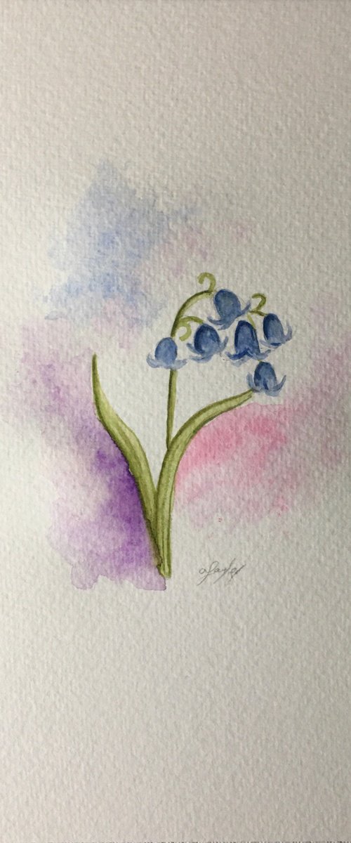 Blue bells by Amelia Taylor