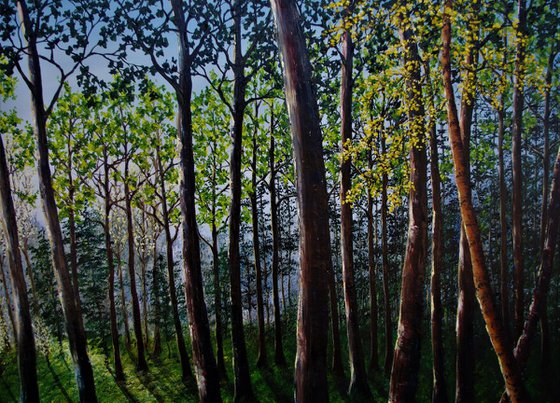 Into The Heart Of The Forest  100cm x 150cm