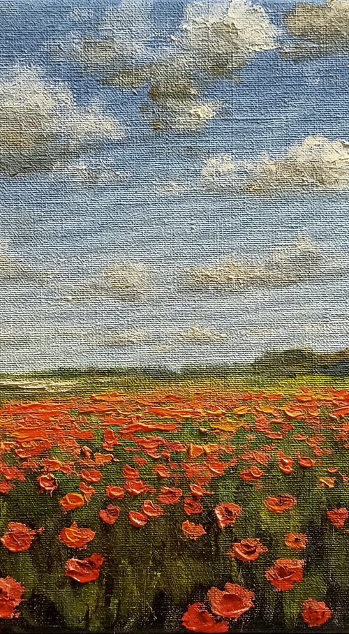 Poppy horizon by Oleh Rak