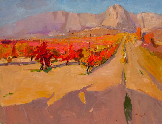 Crimean Vineyards