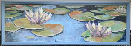Water Lilly pond.