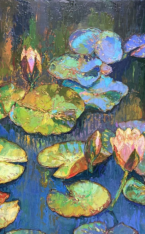Water lilies. by Andriy Vutyanov