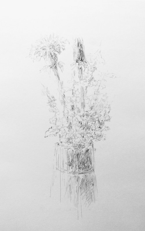 Dandelions. Original pencil drawing by Yury Klyan