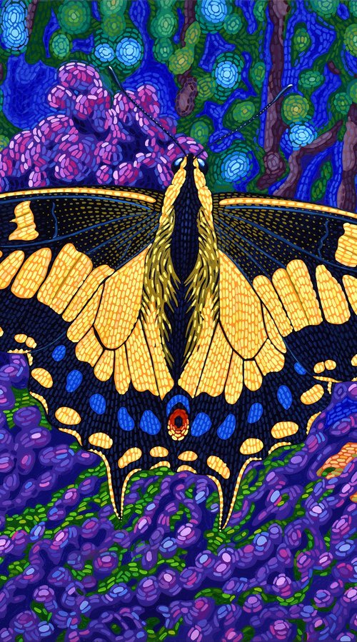 Anise Swallowtail by Alex Nizovsky