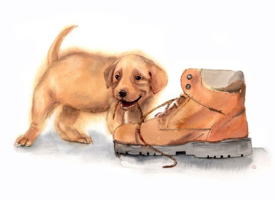 Golden Labrador puppy chewing on shoe - Yellow dog symbol of New Year 2018 - Yellow Lab