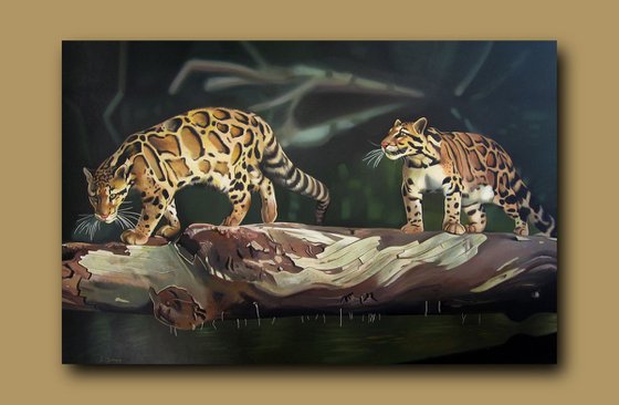 Clouded leopards