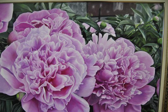 Peonies IV, Oil on Canvas Art