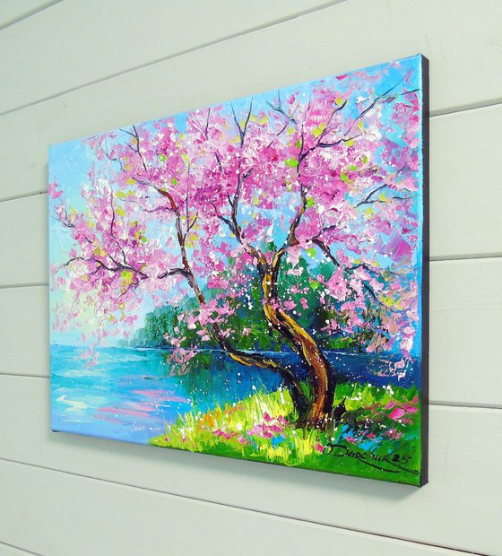 Cherry blossom by the river