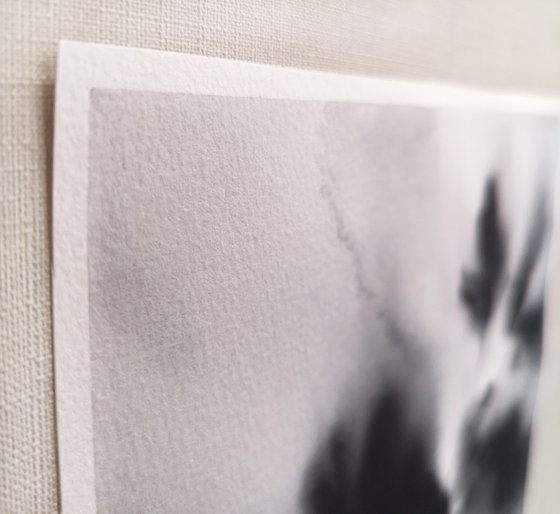 Black and red abstract flowers