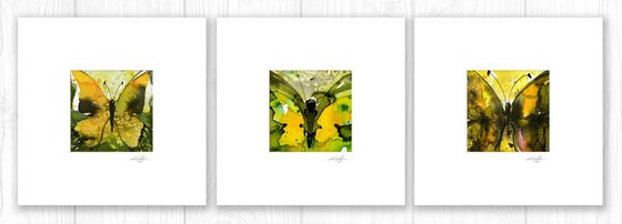 Beautiful Butterflies 5