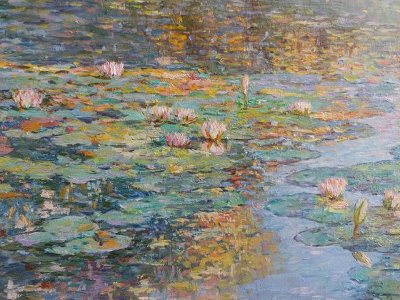 Lake of white lilies