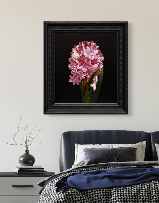 Chiaroscuro Pink Hyacinth Elegance