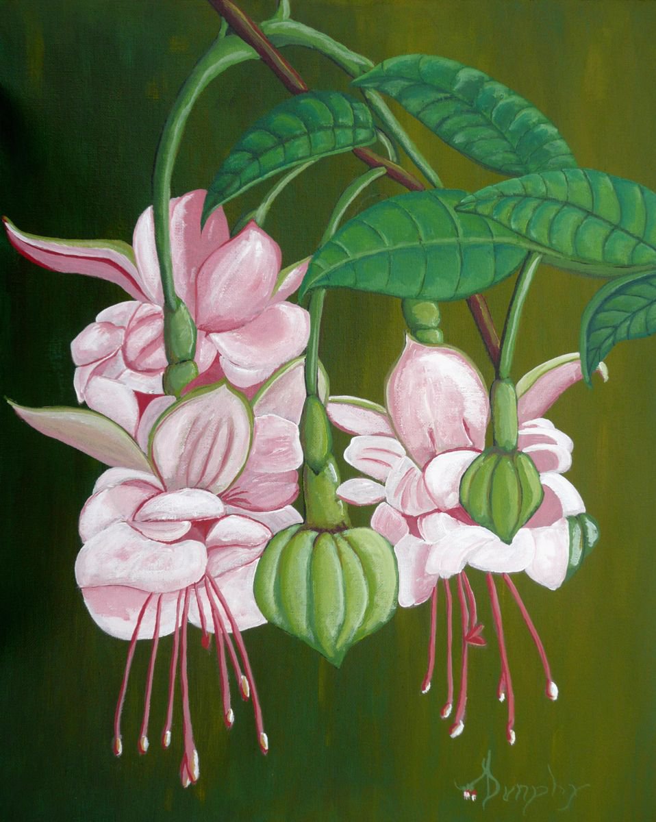 Fuchsia Pink by Dunphy Fine Art