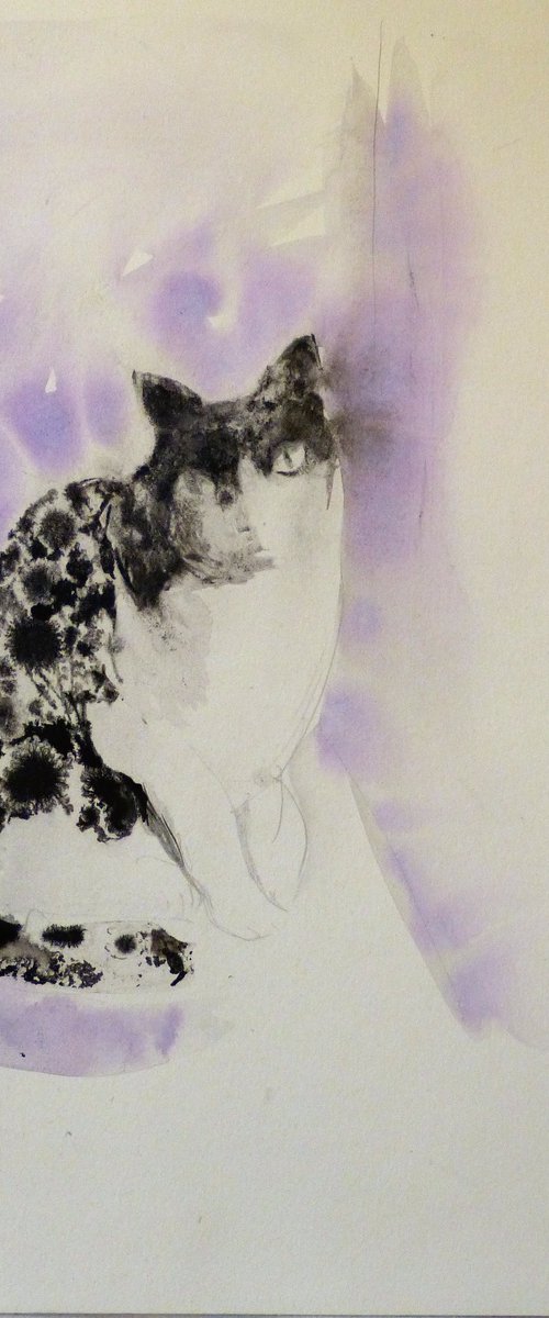 The Cat in purple by Frederic Belaubre