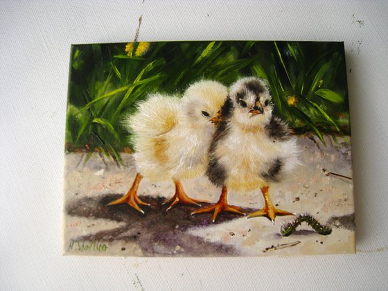 Easter Chickens