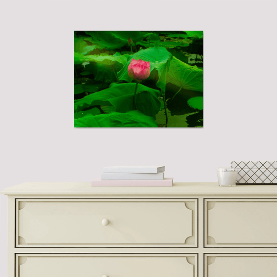 The Lotus Flower (Framed)