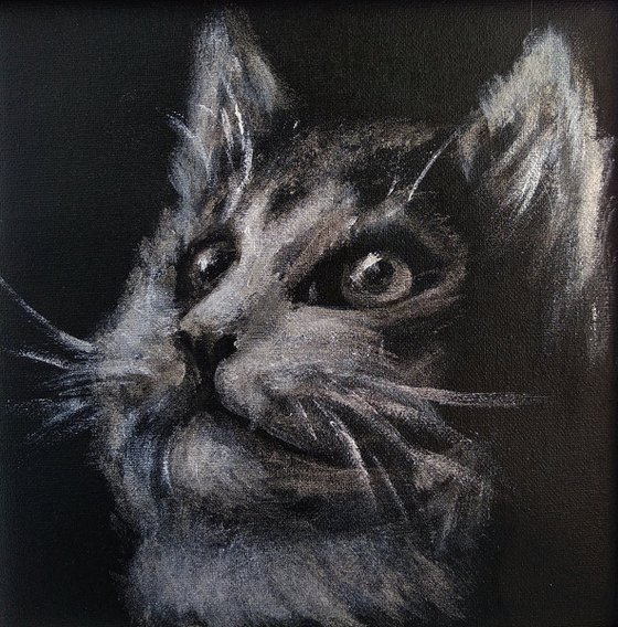 Triptych 3 kittens