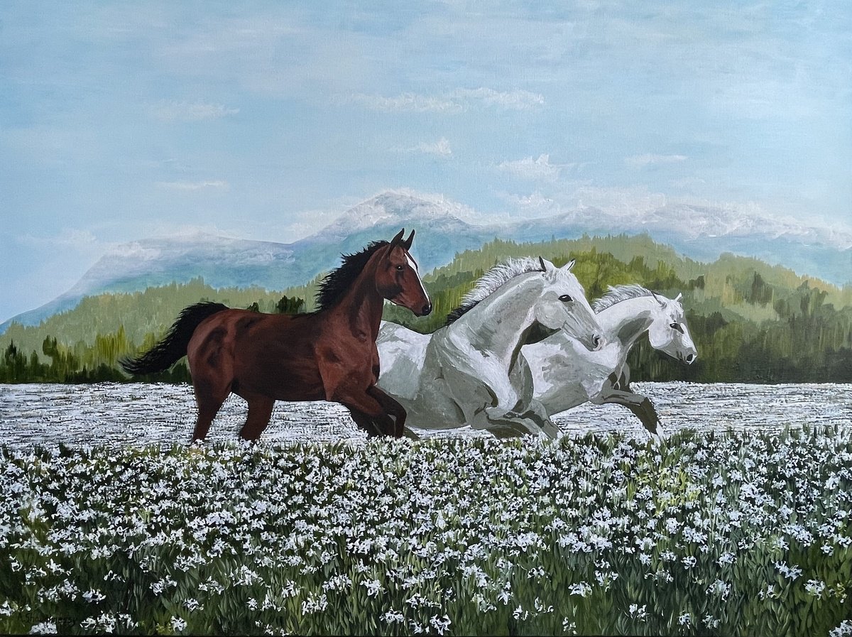 Photorealistic Animal Acrylic Painting By Anne Shaughnessy, 48 X 36, Wild Horses, Original Artwork