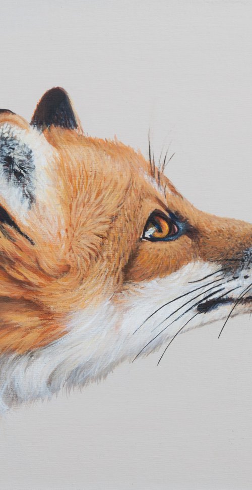 Red Fox by Norma Beatriz Zaro
