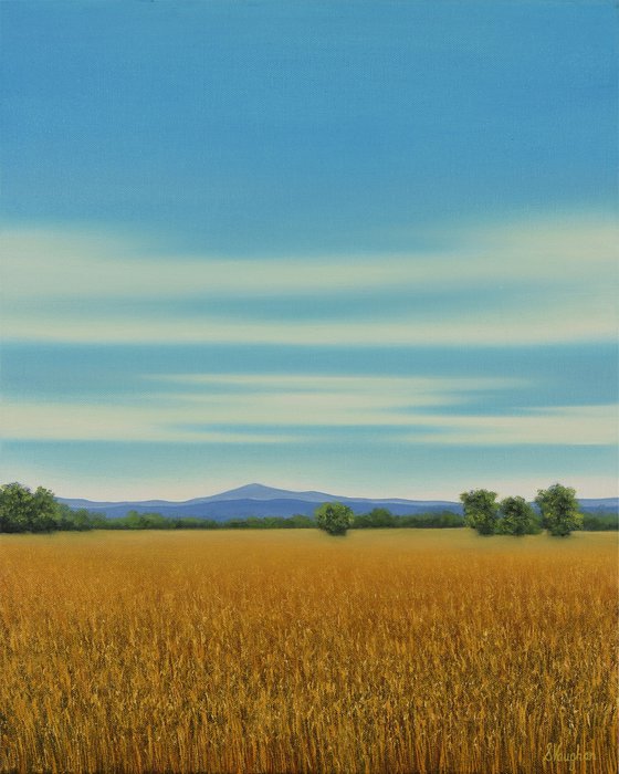 Gold Wheat Field - Blue Sky Landscape