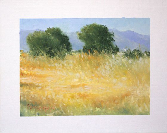 Paisaje del entorno de Moncofa