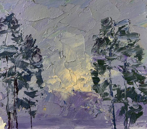 The Forest was Covered with Snow