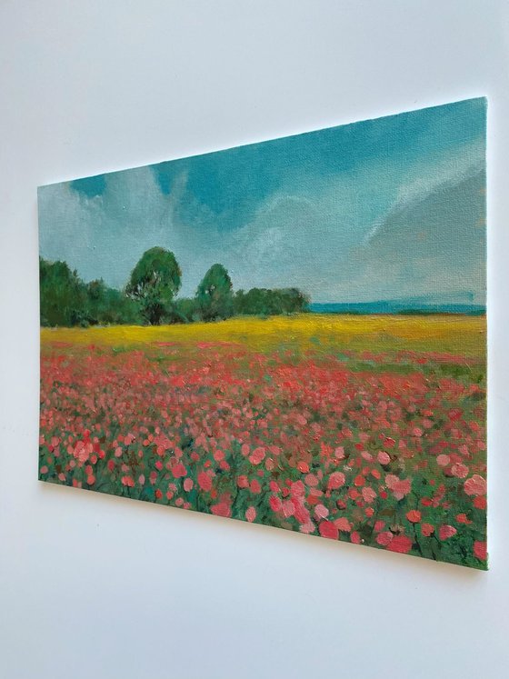 Poppies