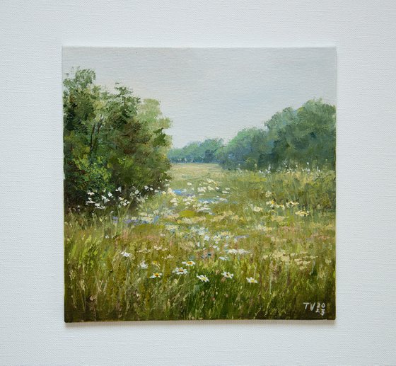 Summer Meadows. Oil painting. Original Art. Nature landscape. 8 x 8