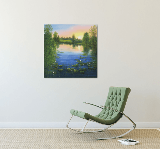 Water lily pond by sunrise