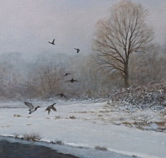Snowlandscape with ducks