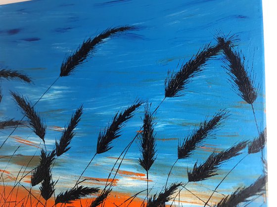 Sunset in the grass