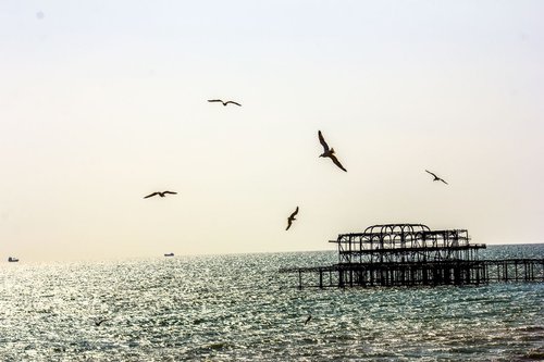 Brighton THE original pier (Limited edition  1/20) 18X12 by Laura Fitzpatrick