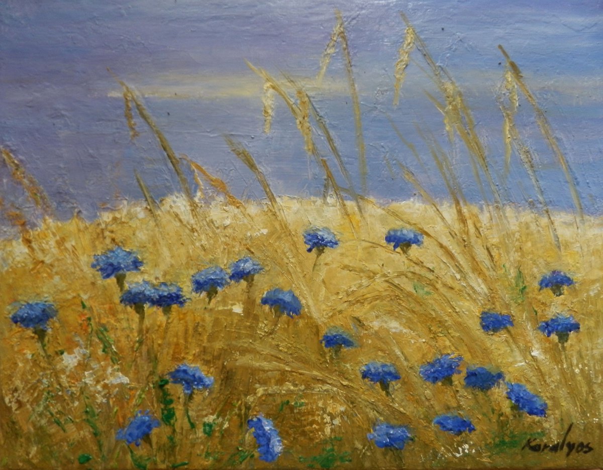 Chicory in the wheat field by Maria Karalyos