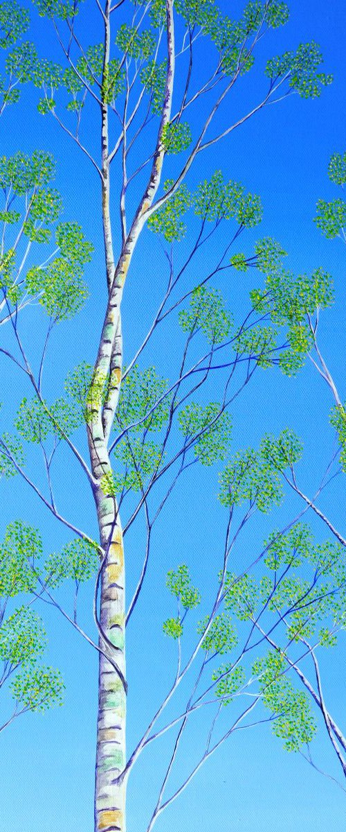 Silver Birch Trees in Spring by Ruth Cowell