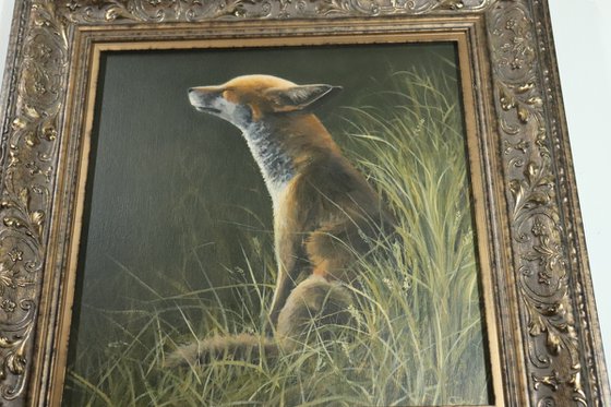 Fox in the Sun Animal original, Foxes Oil Artwork