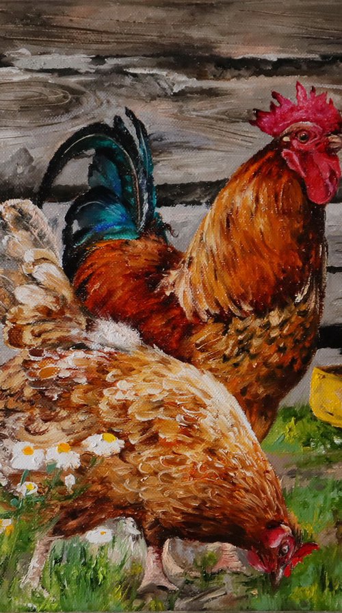 Rooster and chicken. In the backyard. by Natalia Shaykina