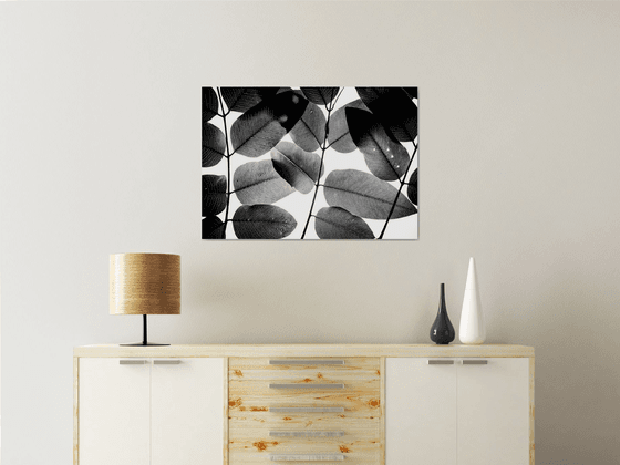 Experiments with Leaves II | Limited Edition Fine Art Print 1 of 10 | 75 x 50 cm