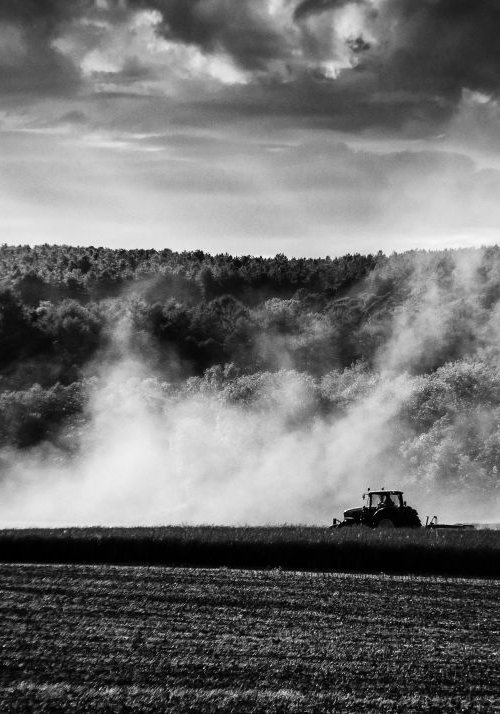 Seed and Scatter by Michelle Williams Photography