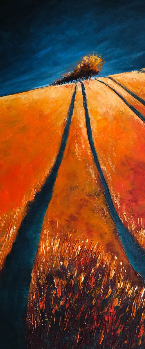 The Way Up  and the Storm - Fields and Colors Series by Danijela Dan