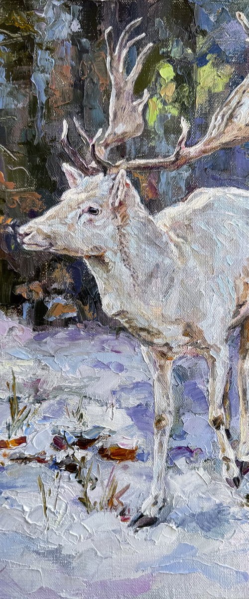The first snow by Olha Dashkevych