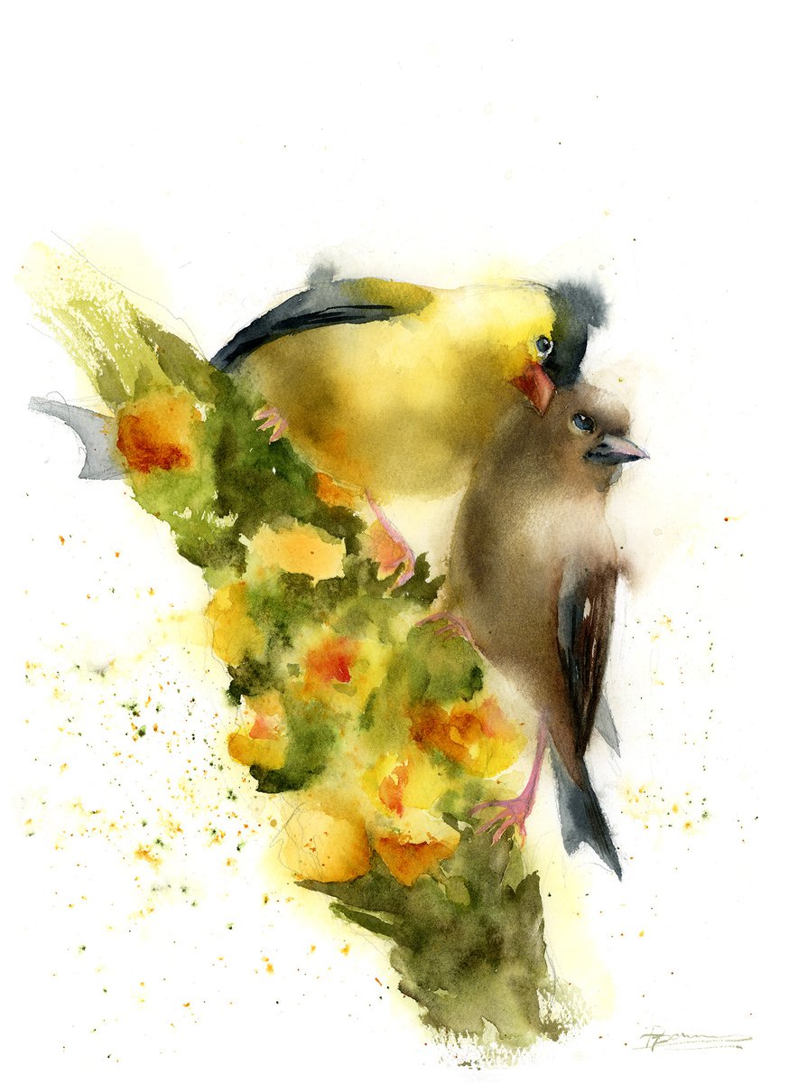 Birds in Love by Olga Shefranov (Tchefranova)
