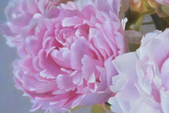 Peonies in Bloom.