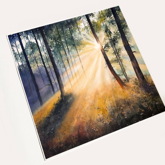 Whispers of Morning Light