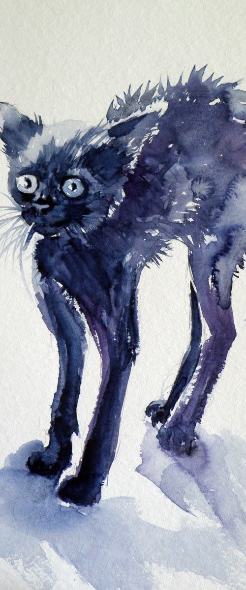 Little cat by Kovács Anna Brigitta