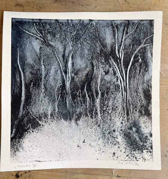 Woods IV 2026